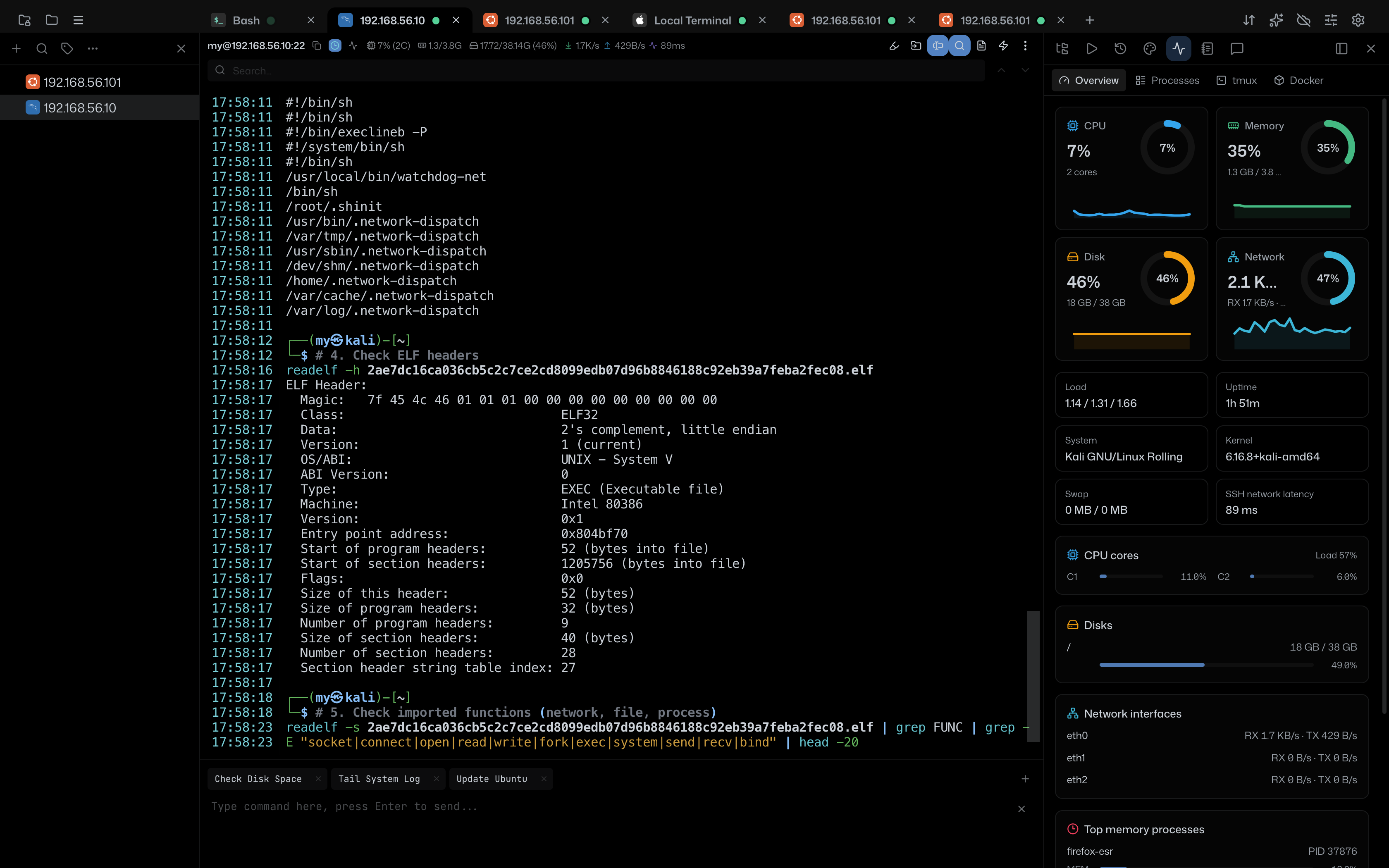 readelf Header & Dropped Paths