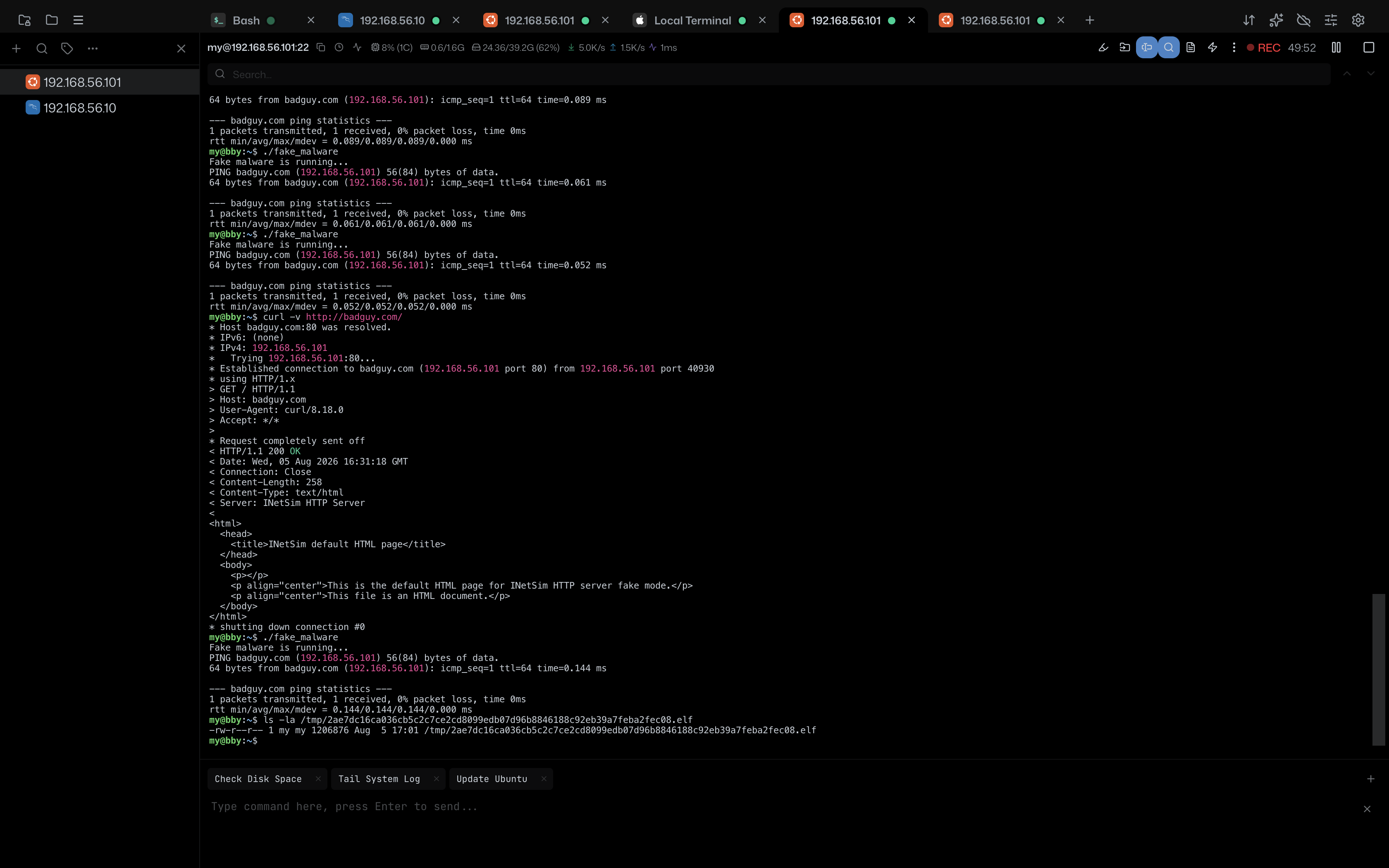 10 Fake HTTP Loop