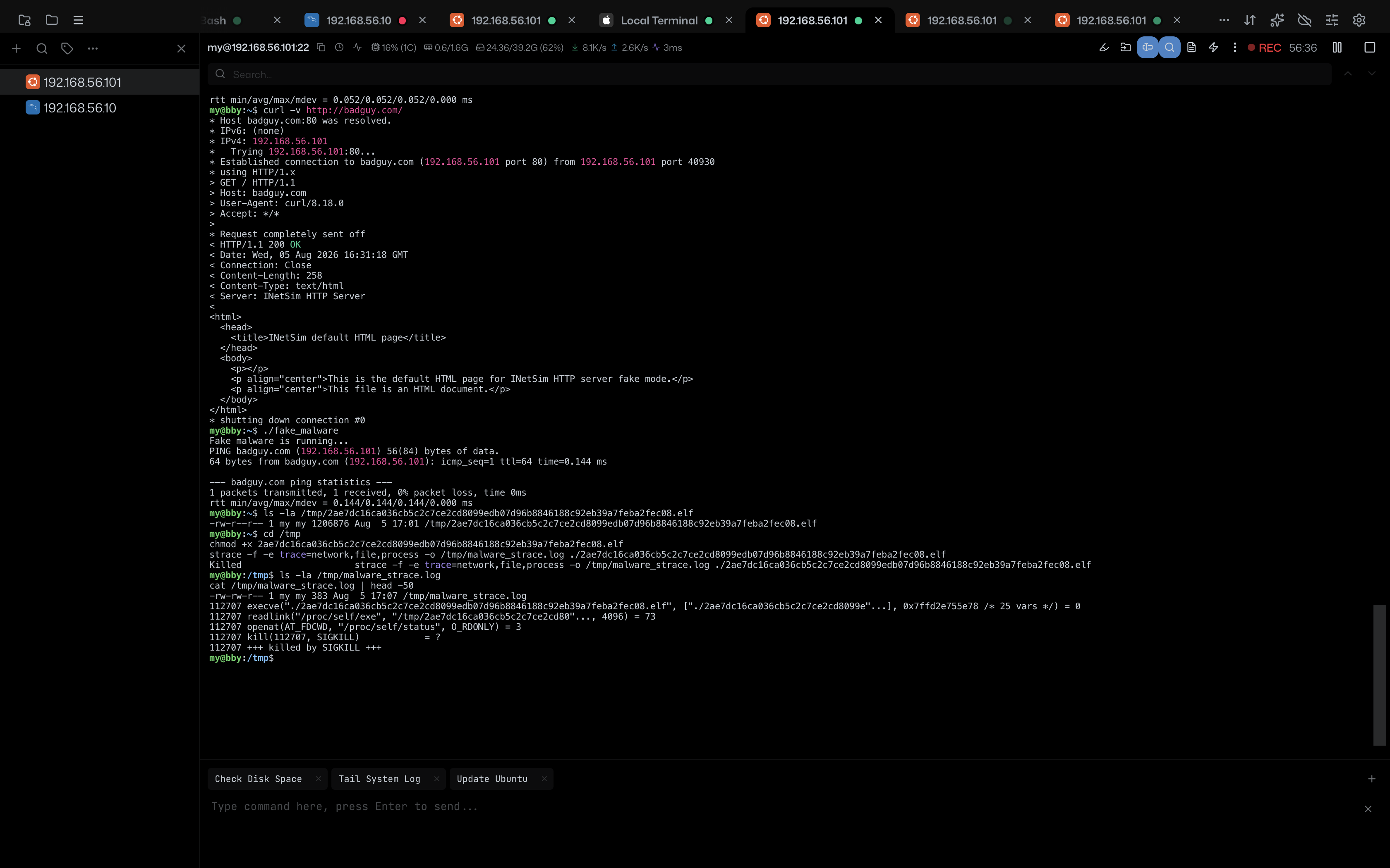 strace Anti-Debug SIGKILL Evidence