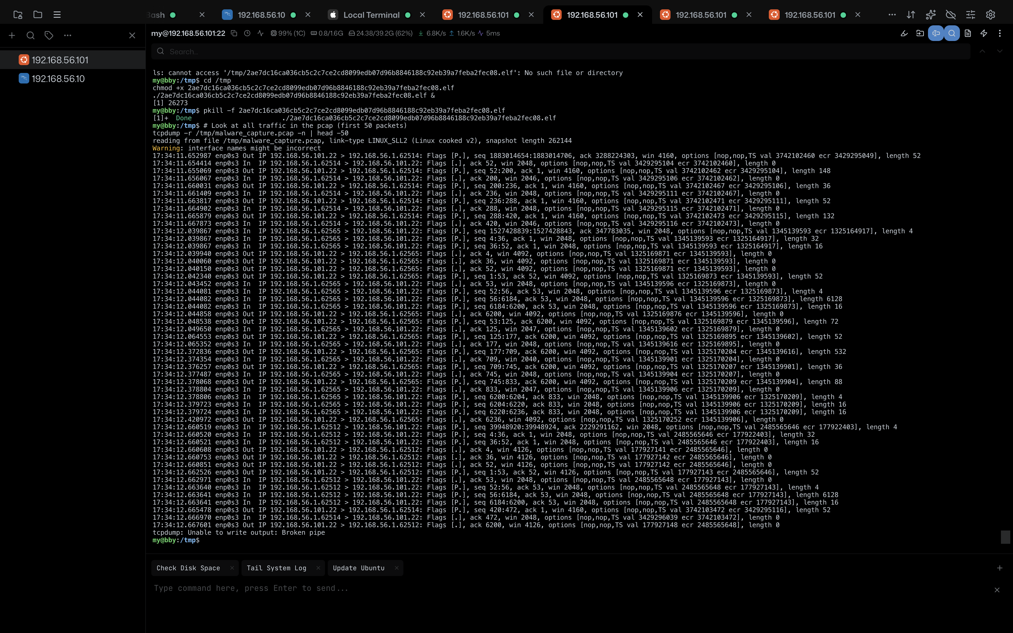 tcpdump Live Capture