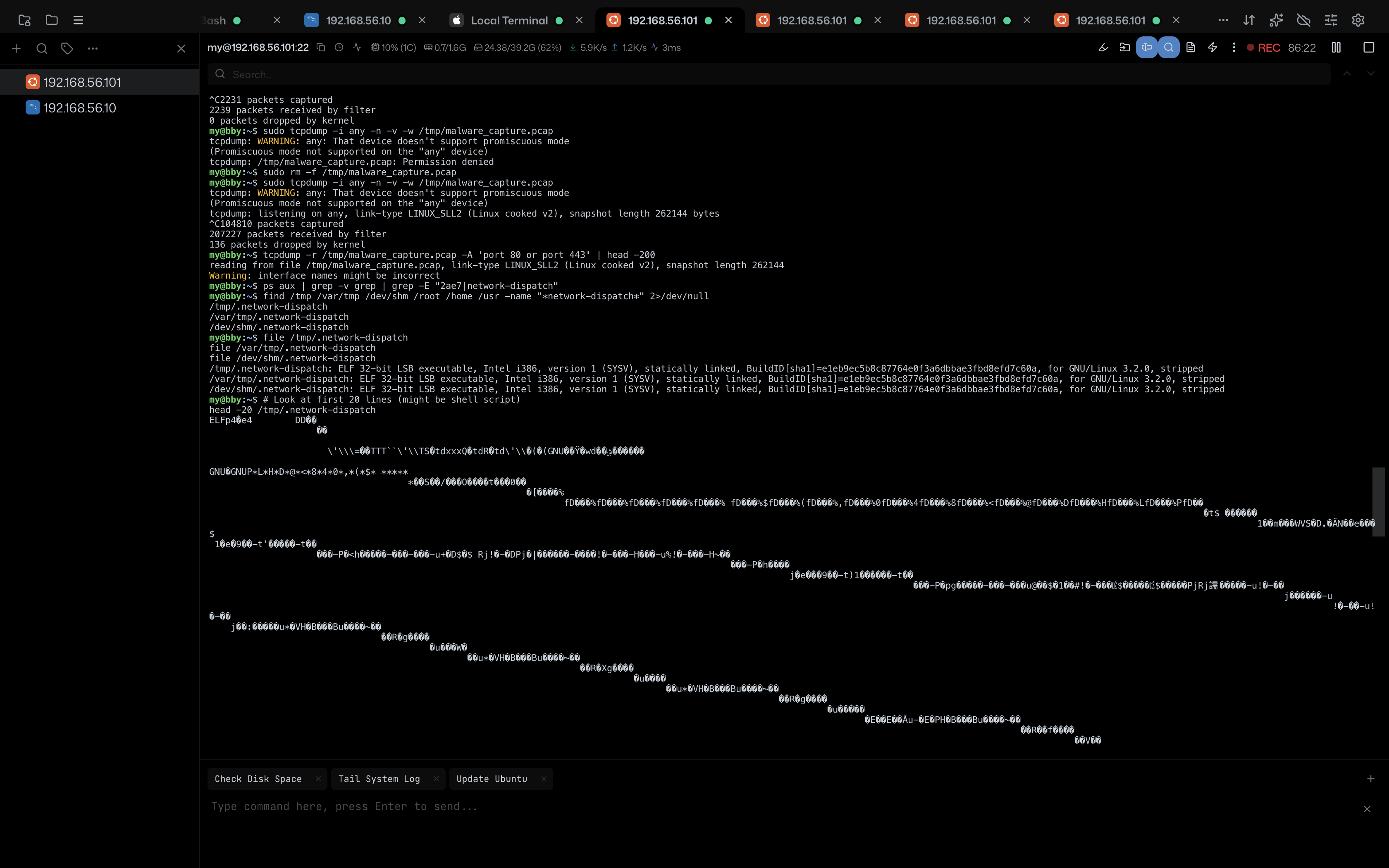 ELF Verification Hexdump