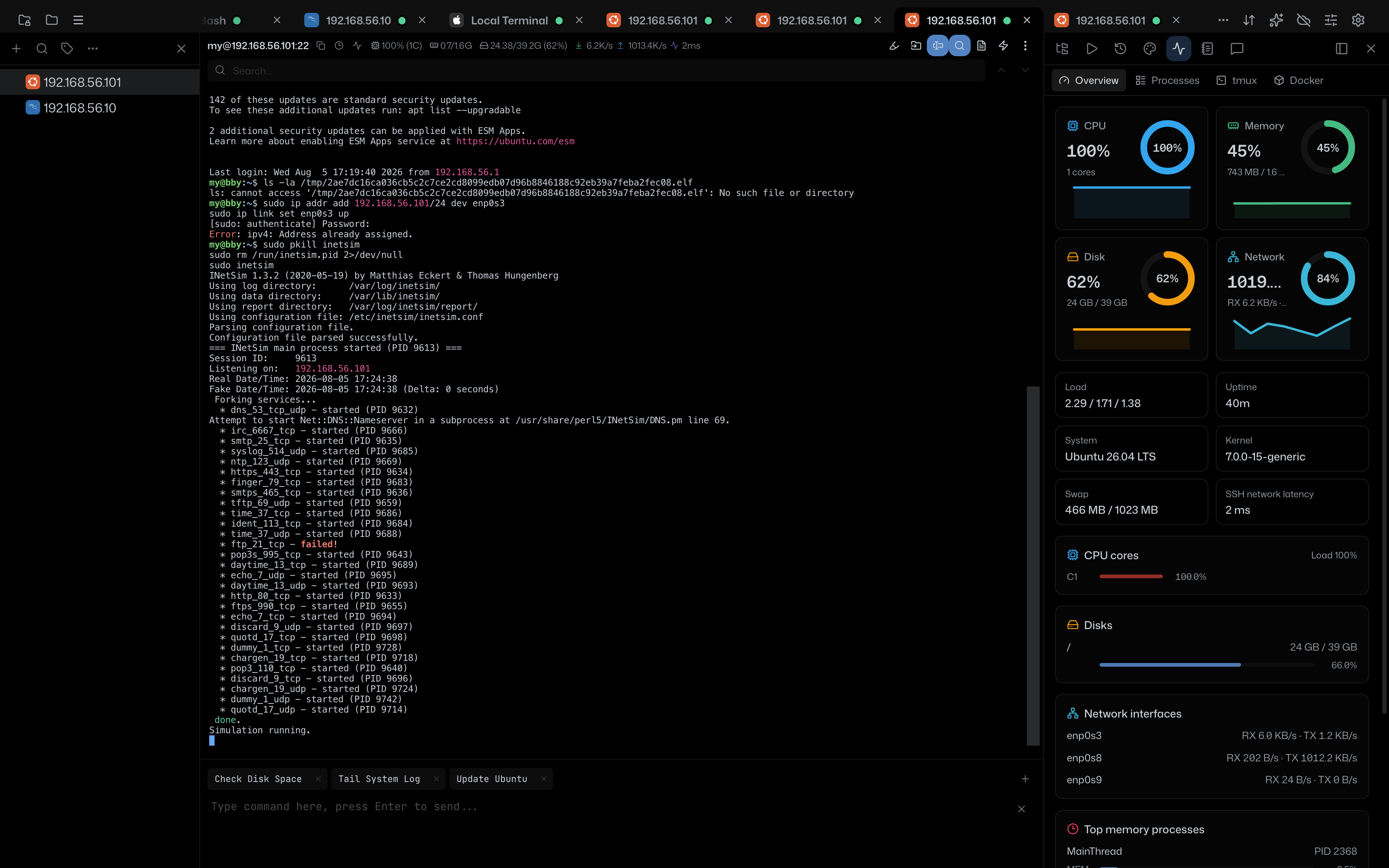 INetSim Resource Panel